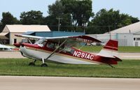 N291AC @ KOSH - American Champion 7GCBC - by Mark Pasqualino
