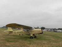G-AHAM @ BEDT - Old Timer Fly In - by Henk Geerlings