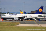 D-AILW photo, click to enlarge D-AILW photo, click to enlarge