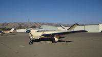 N1808D @ KRHV - Locally-based 1952 Beech C35 sitting at the south tie downs at Reid Hillview Airport, San Jose, CA while the Nice Air ramp gets resurfaced. This is the busiest you will ever see the south tie downs since (as upload date) there are only 11 a/c there. - by Chris Leipelt