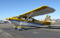 N68547 @ KWHP - Locally-based 1972 Bellanca 7ECA @ Whiteman Airport, Pacoima, CA - by Steve Nation