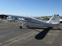 N8010K @ KWHP - Locally-based 1947 Stinson 108-2 @ Whiteman Airport, Pacoima, CA - by Steve Nation