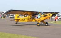 N2873Z @ LAL - PA-18A - by Florida Metal
