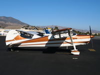 N9976A @ SZP - Locally-Based 1950 Cessna 170A @ Santa Paula Airport, CA - by Steve Nation
