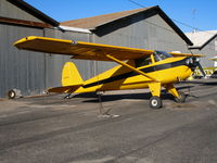 N77874 @ SZP - Locally-Based 1946 Luscombe 8A @ Santa Paula Airport, CA