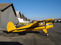 N77874 @ SZP - Locally-Based 1946 Luscombe 8A @ Santa Paula Airport, CA