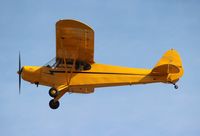 N3331N @ LAL - Piper J3C Cub - by Florida Metal