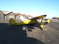 N43300 @ SZP - Locally-Based 1946 Taylorcraft BC-12D @ Santa Paula Airport, CA carrying NC43300 registration - by Steve Nation