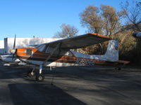 N2906C @ SZP - Sun dappled 1954 Cessna 180 @ Santa Paula Airport, CA - by Steve Nation