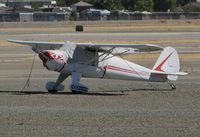N71688 @ KCCR - 1946 Luscombe 8A @ Buchanan Field, Concord, CA - by Steve Nation