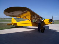 N3650K @ I74 - Beautiful J3C-65 Cub - by Christian Maurer