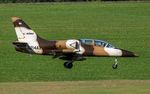 N214AX @ EDDR - short final RW09