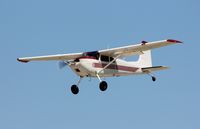 N9393C @ KOSH - Cessna 180