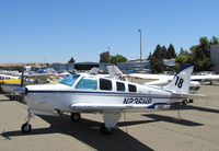 N236HP @ KCCR - SoCal-based 1987 Beech A36 Bonanza took part in 2014 Air Race Classic as Race #18. Photo @ Buchanan Field, Concord, CA prior to start of the annual cross country event. Pilots were Terry Nitz, Roberta Boucher & Leo Ford aka the Blonde Bombs. - by Steve Nation