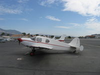 N74231 photo, click to enlarge