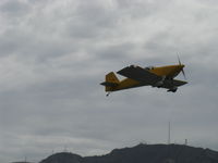 N406L photo, click to enlarge