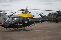 ZJ266 photo, click to enlarge