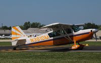 N381DM @ KOSH - American Champion 8KCAB - by Mark Pasqualino