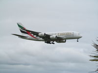 A6-EDC @ NZAA - on finals to AKL and palm trees - by magnaman
