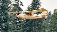 N9791E @ KAWO - 2015 Arlington Fly In - by Terry Green