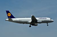 D-AIPL photo, click to enlarge D-AIPL photo, click to enlarge