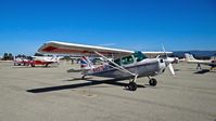 N497AC @ KWVI - 2005 American Champion 7GCAA on display at the 2015 Watsonville Fly In. - by Chris Leipelt