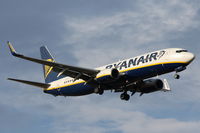 EI-EFP photo, click to enlarge EI-EFP photo, click to enlarge