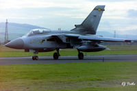 ZE810 photo, click to enlarge ZE810 photo, click to enlarge