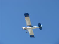 N117CP photo, click to enlarge