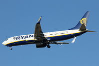 EI-ENX photo, click to enlarge EI-ENX photo, click to enlarge