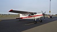 N3452Y @ KRHV - Nevada-based 1975 Cessna 185F sitting on the visitor's ramp on a foggy morning at Reid Hillview Airport, San Jose, CA. - by Chris Leipelt