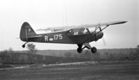 R-175 - the type of lettering R-175 on the tail is not standard on this 298Sq aircraft