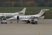 CS-PHE photo, click to enlarge