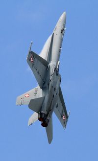 J-5020 @ LFSX - Swiss Air Force McDonnell Douglas FA-18C Hornet, On display, Luxeuil-Saint Sauveur Air Base 116 (LFSX) Open day 2015 - by Yves-Q