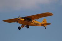 N998SC @ KOSH - Cub Crafters CC11-100 - by Mark Pasqualino