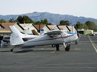 N2115V @ SZP - 1948 Cessna 120, Continental C85 85 Hp, refinished, on transient line - by Doug Robertson