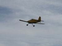 N406L photo, click to enlarge