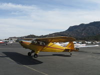 N87804 @ SZP - 1946 Piper PA-12 SUPER CRUISER, Lycoming O-290 135 Hp upgrade, on transient ramp - by Doug Robertson