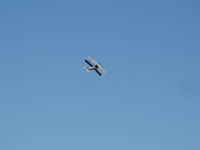 N131BF photo, click to enlarge