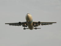 SU-GAY @ EBOS - Moments before touchdown rwy 26 - by Joeri Van der Elst