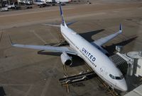 N27205 @ DFW - United - by Florida Metal