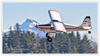 N488VG @ KAWO - KAWO - by Terry Green