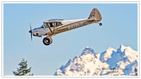N419LD @ KAWO - KAWO - by Terry Green