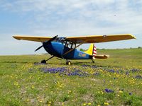 N5255G @ KJWY - Big Q Aviation's Birddog - by Carol Walker
