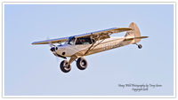 N419LD @ KAWO - KAWO - by Terry Green