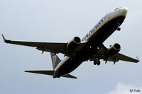 EI-EFX photo, click to enlarge EI-EFX photo, click to enlarge