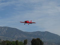 N184RF photo, click to enlarge