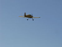 N406L photo, click to enlarge