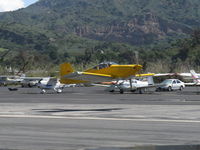 N406L photo, click to enlarge