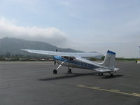 N7438A photo, click to enlarge